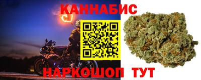 a pvp Ачхой-Мартан